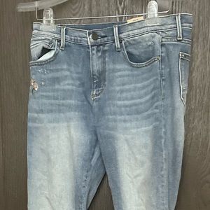 Driftwood Embroidered Skinny Jeans